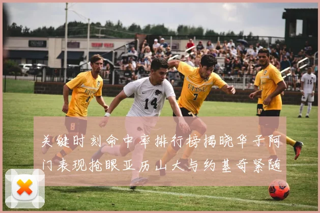 关键时刻命中率排行榜揭晓华子阿门表现抢眼亚历山大与约基奇紧随其后