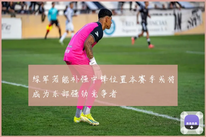 绿军若能补强中锋位置本赛季或将成为东部强劲竞争者
