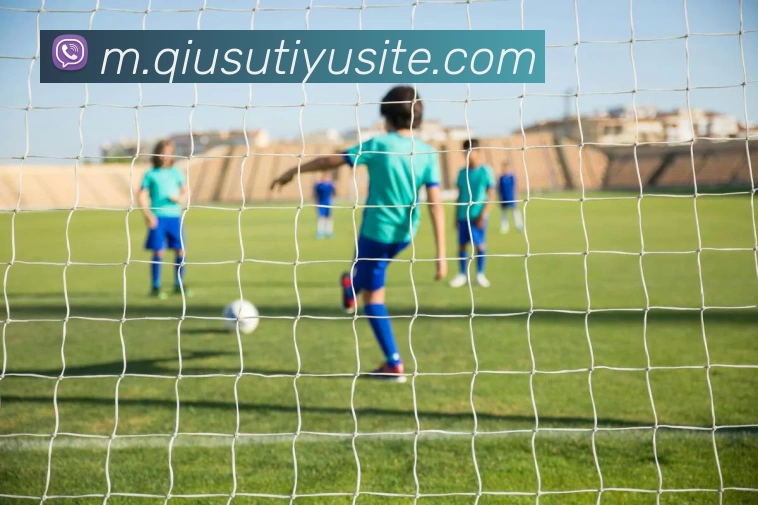 球速体育APP 封面图